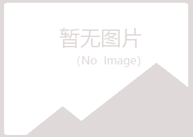 廉江雅山能源有限公司